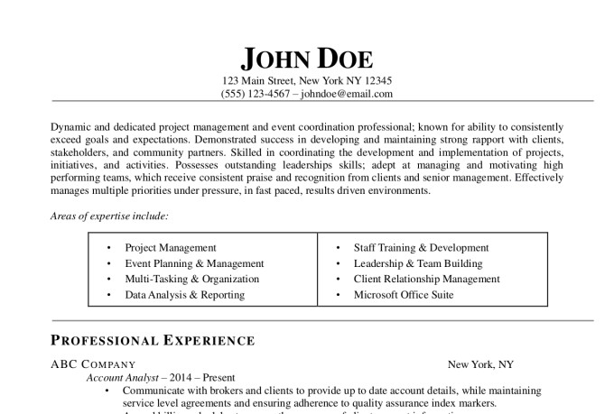 create or edit a professional resume