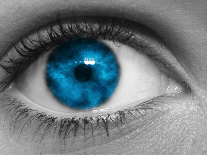 make you photo black and white with color accents