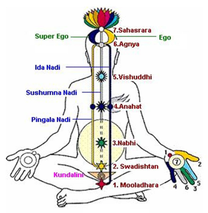 send Highest Positive Energy To Align Your Chakras