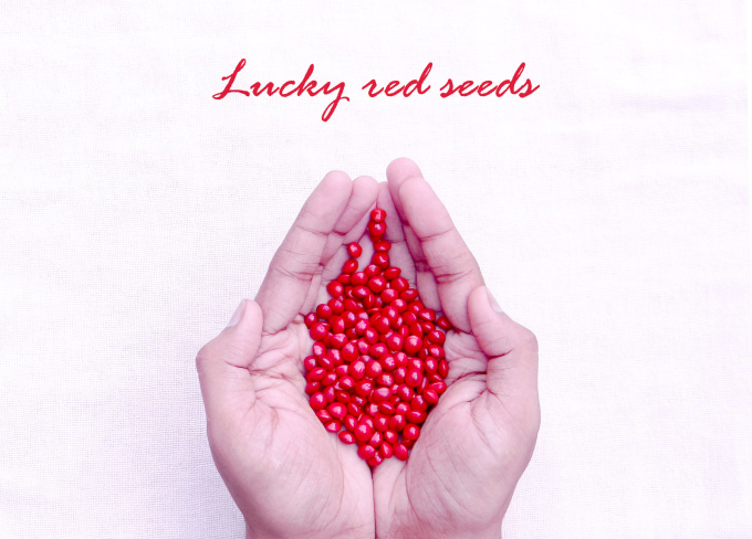 write anything with Magical Lucky Red Seeds to brin