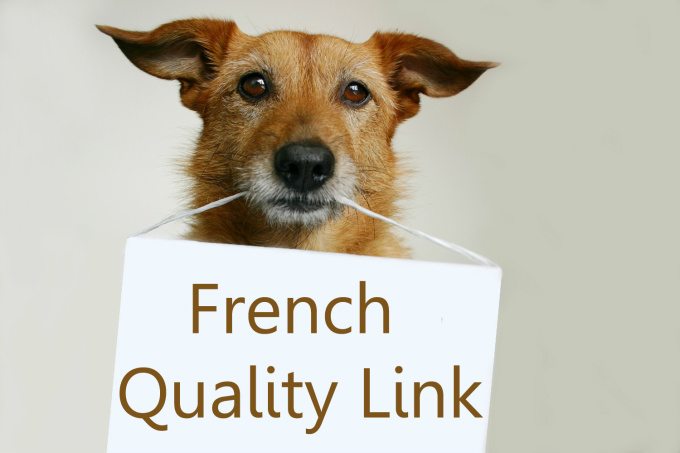 give you an Education French Link for SEO Google France