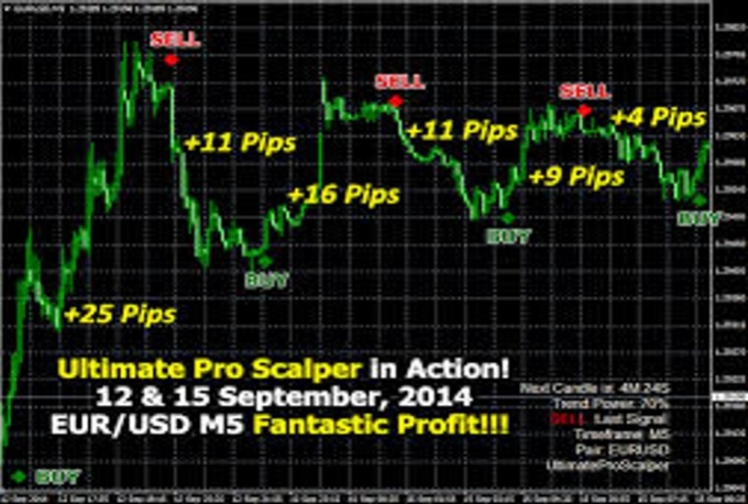 Forex ultimate scalper