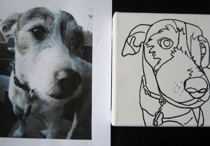 Contour Line Drawing Of Dogs : Draw a contour line drawing of your dogs face