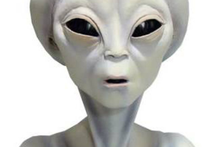 send you a talking video message from an alien grey