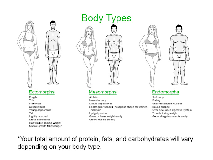 fat burning schedule