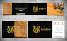 design attractive brochure or FLYER small1