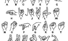 teach you 5 easy sentences to say in sign language - fiverr