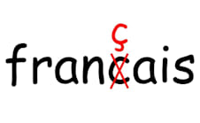meticulously proofread any French document