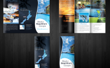 design attractive brochure or FLYER small2