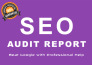 do full SEO Audit Report and Competitor Analysis within 24 hour